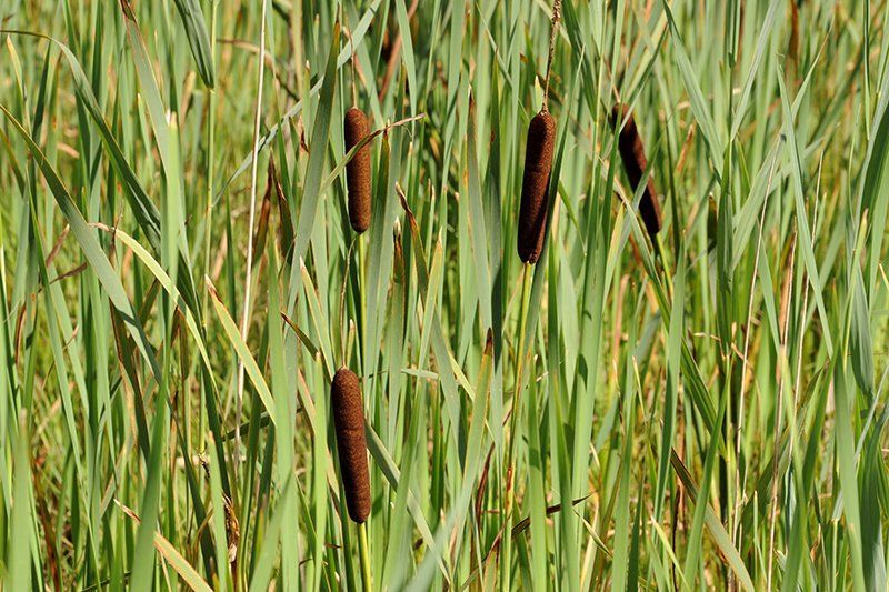 Fotografie Alfons Weber
