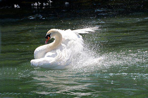 Fotografie Alfons Weber
