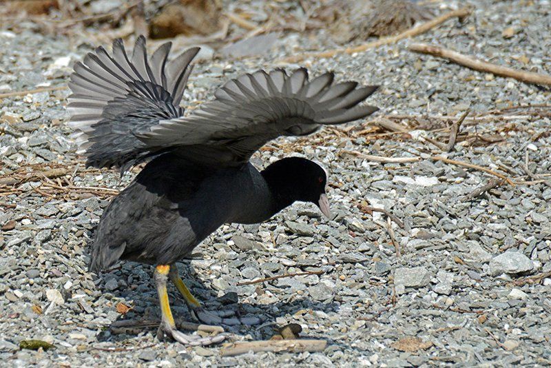 Fotografie Alfons Weber
