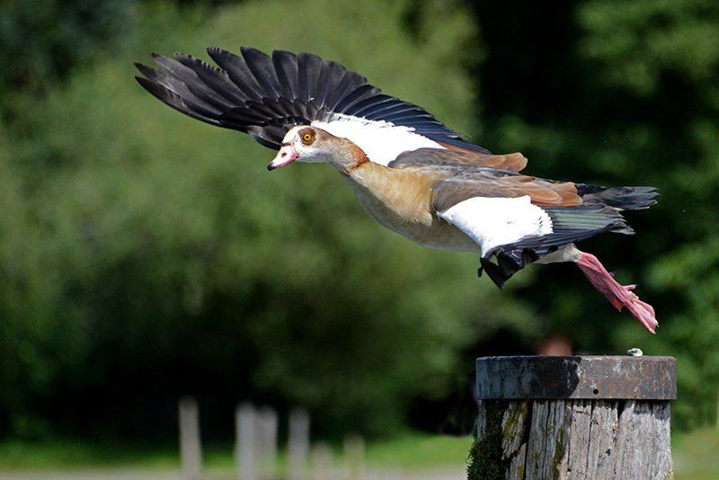 Fotografie Alfons Weber
