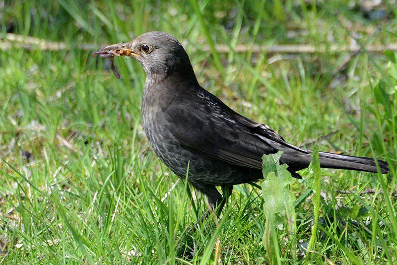Fotografie Alfons Weber
