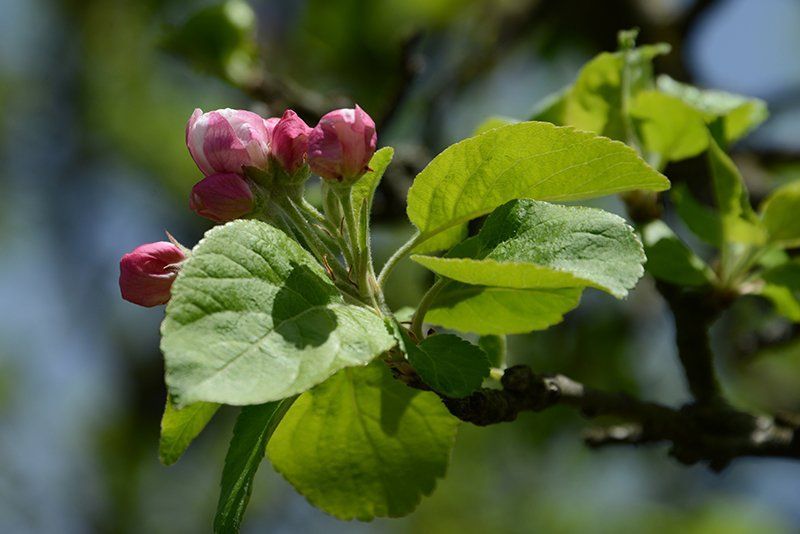 Fotografie Alfons Weber
