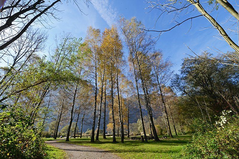 Fotografie Alfons Weber
