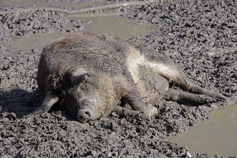 Fotografie Alfons Weber
