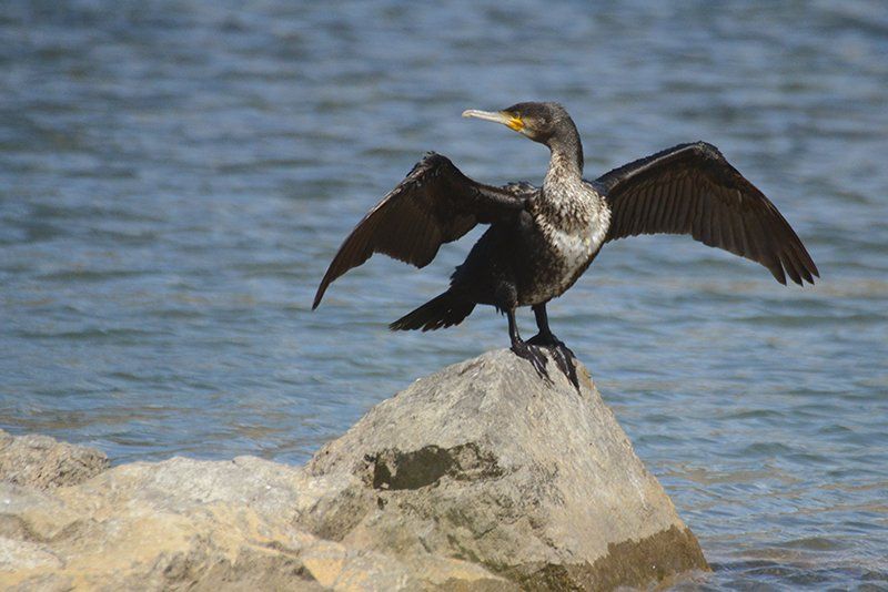 Fotografie Alfons Weber
