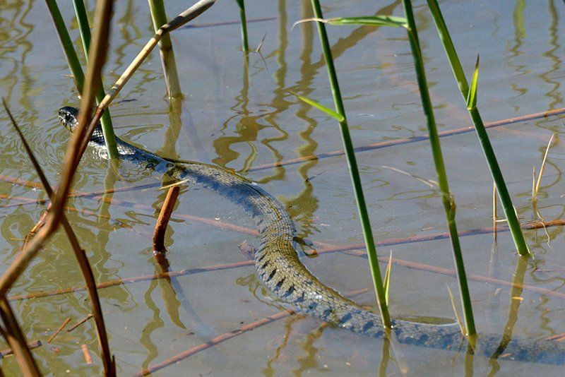 Fotografie Alfons Weber
