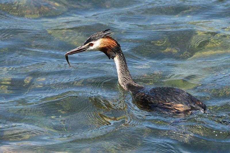 Fotografie Alfons Weber
