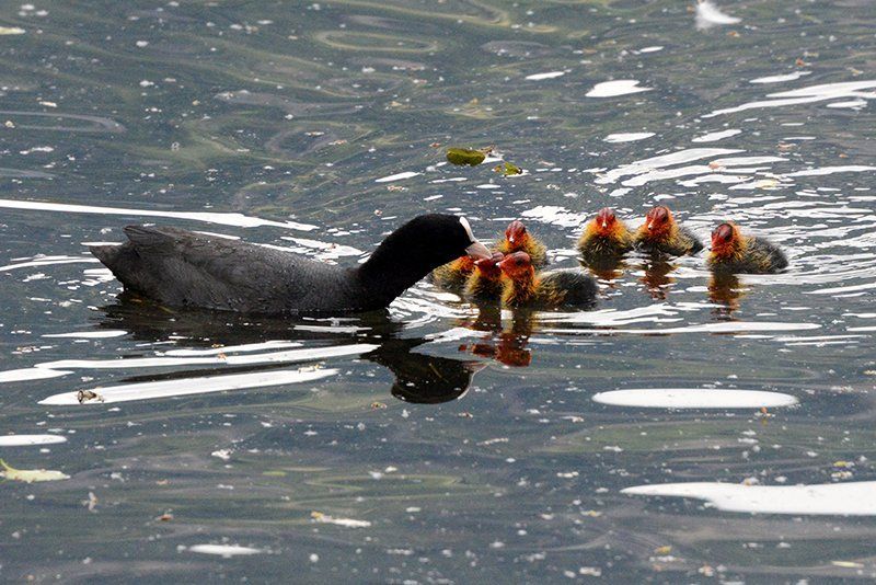 Fotografie Alfons Weber

