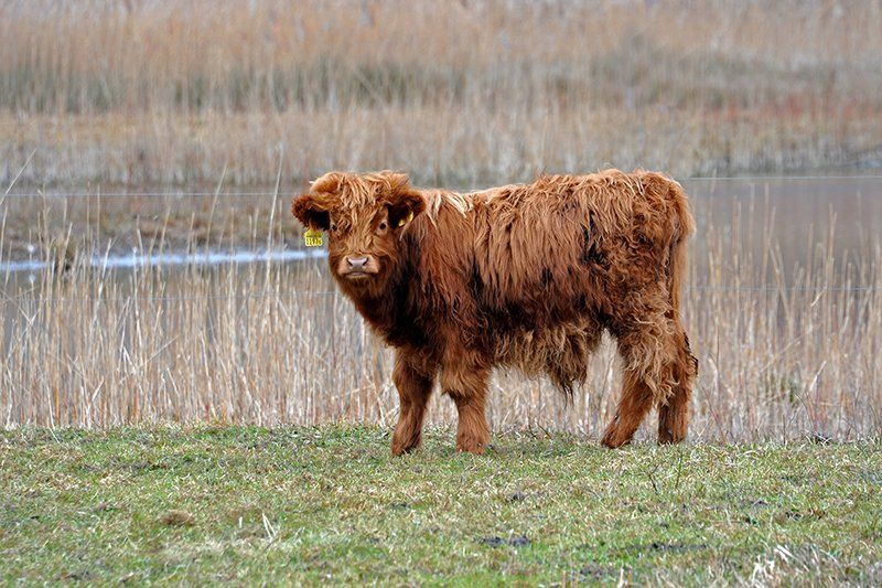 Fotografie Alfons Weber
