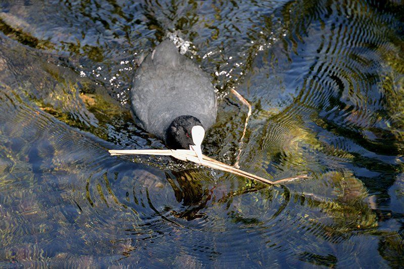 Fotografie Alfons Weber
