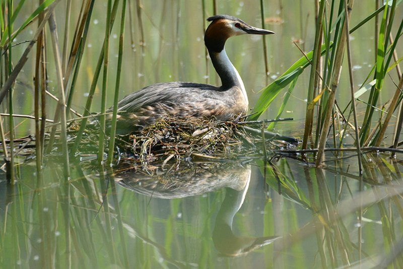 Fotografie Alfons Weber

