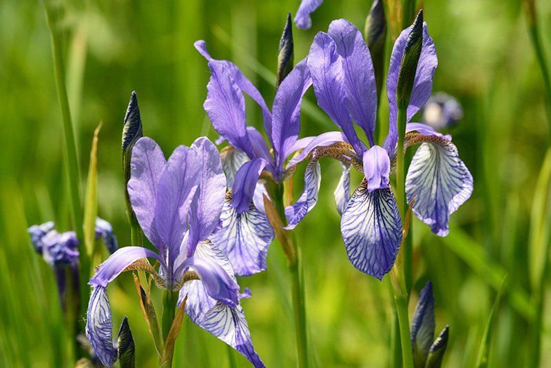 Fotografie Alfons Weber
