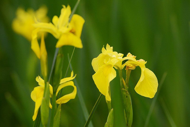 Fotografie Alfons Weber
