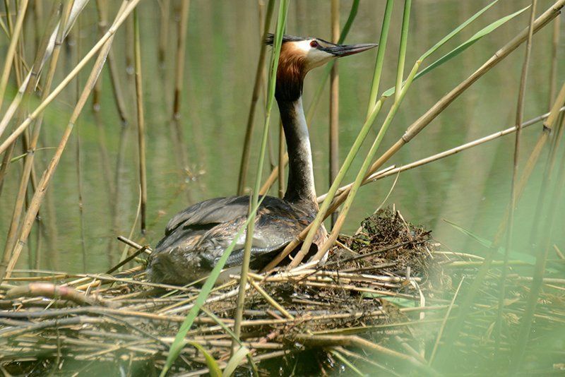 Fotografie Alfons Weber

