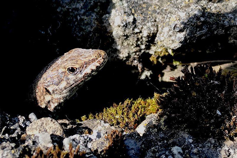 Fotografie Alfons Weber
