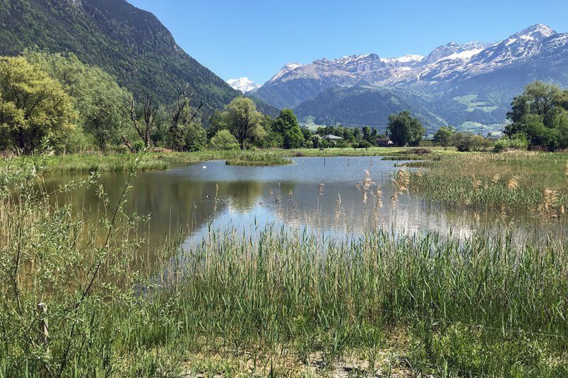 Fotografie Alfons Weber
