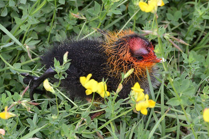 Fotografie Alfons Weber
