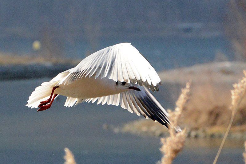 Fotografie Alfons Weber
