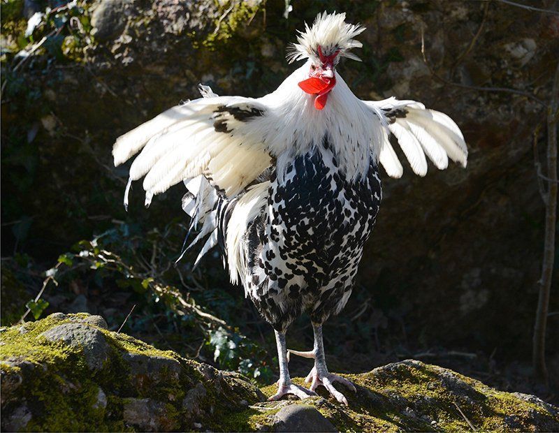 Fotografie Alfons Weber
