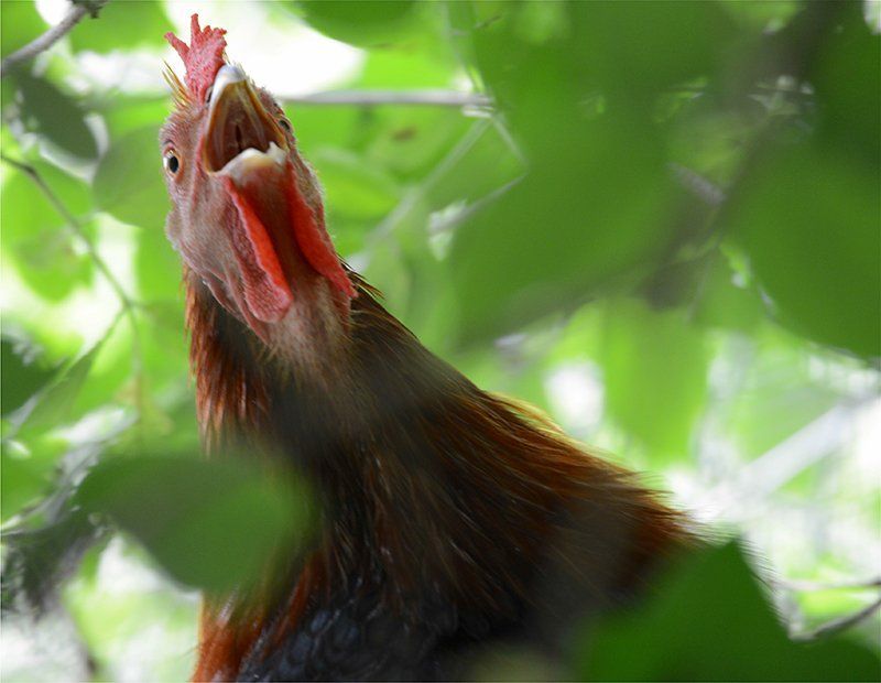 Fotografie Alfons Weber
