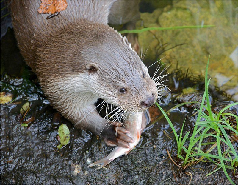 Fotografie Alfons Weber
