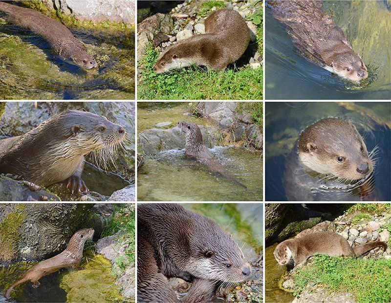 Fotografie Alfons Weber
