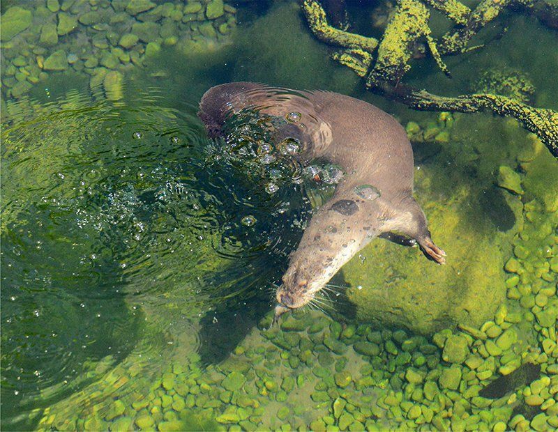 Fotografie Alfons Weber
