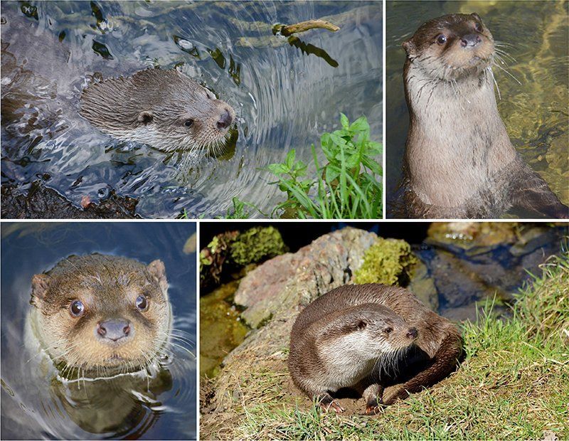 Fotografie Alfons Weber
