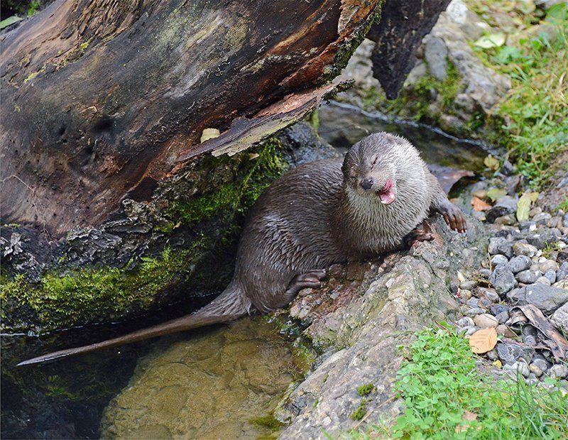 Fotografie Alfons Weber
