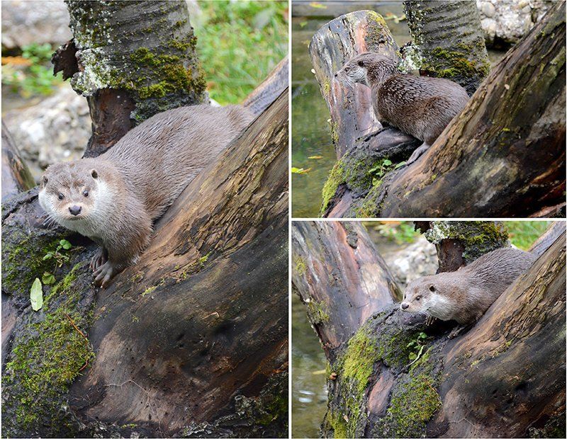 Fotografie Alfons Weber
