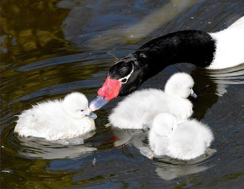 Fotografie Alfons Weber
