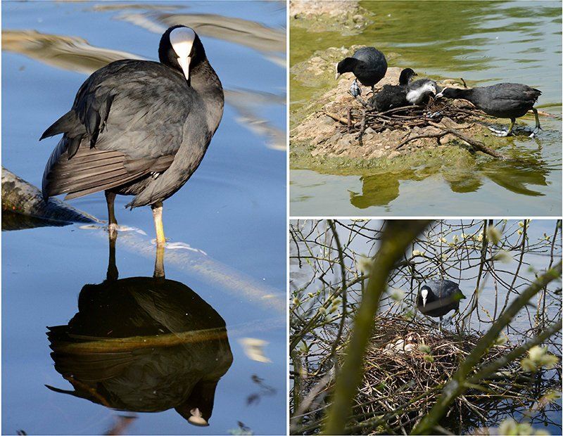 Fotografie Alfons Weber

