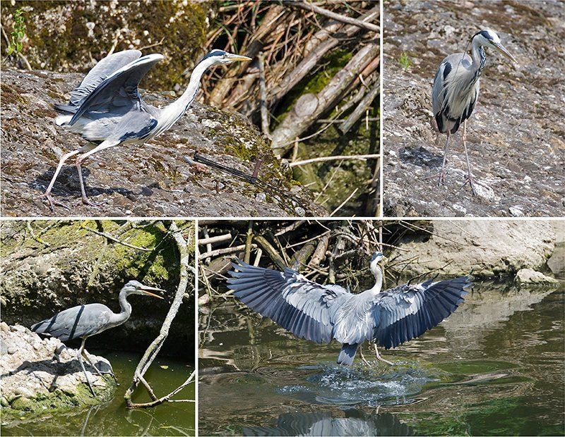 Fotografie Alfons Weber
