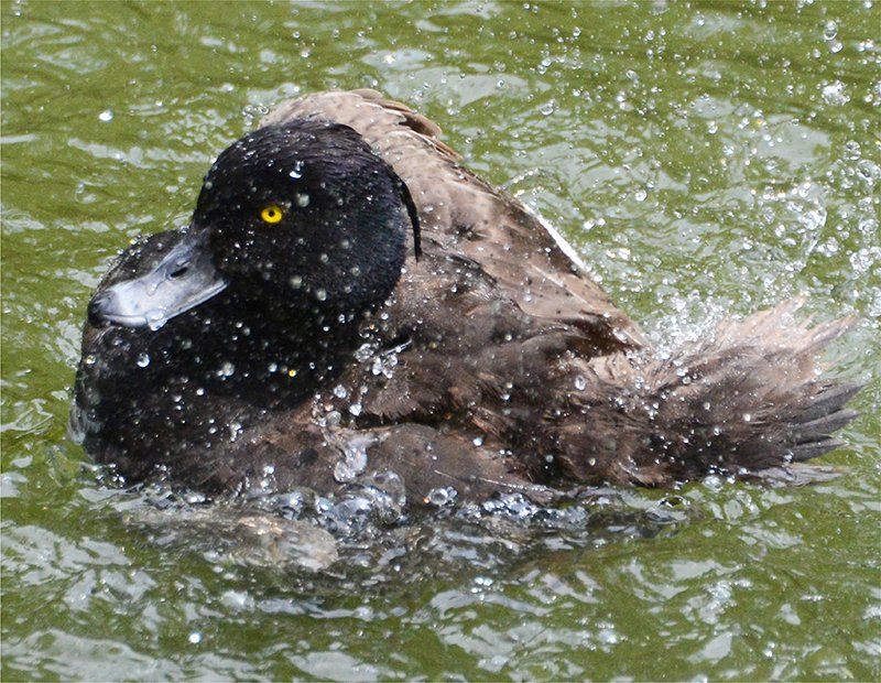 Fotografie Alfons Weber
