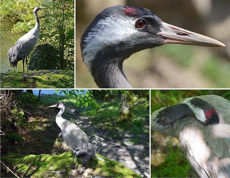 Fotografie Alfons Weber

