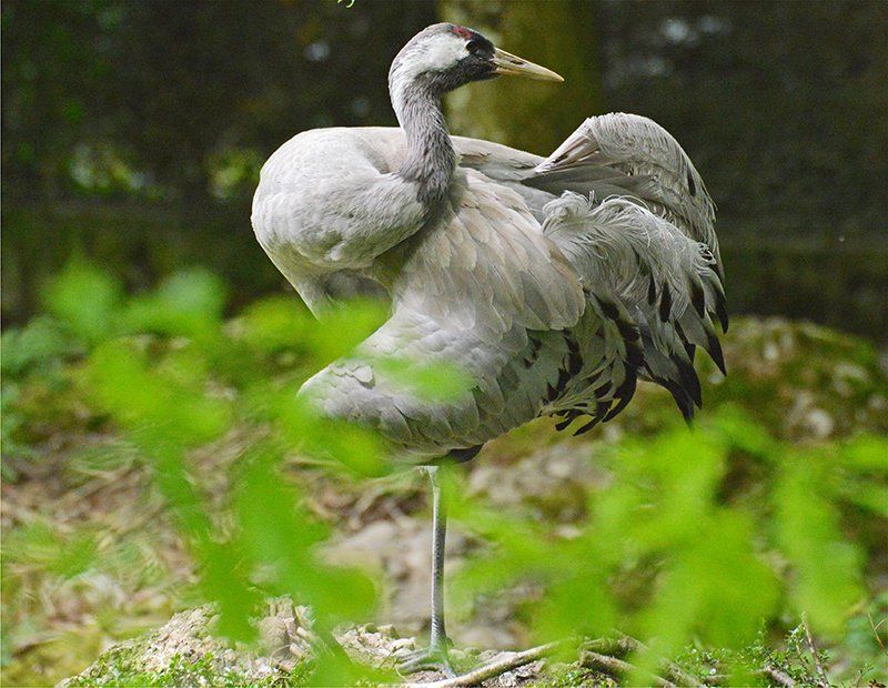 Fotografie Alfons Weber
