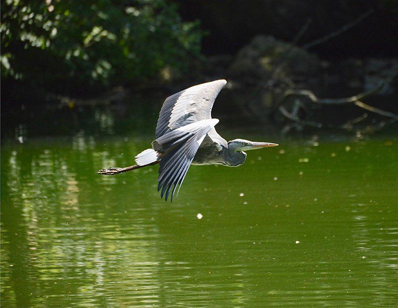 Fotografie Alfons Weber
