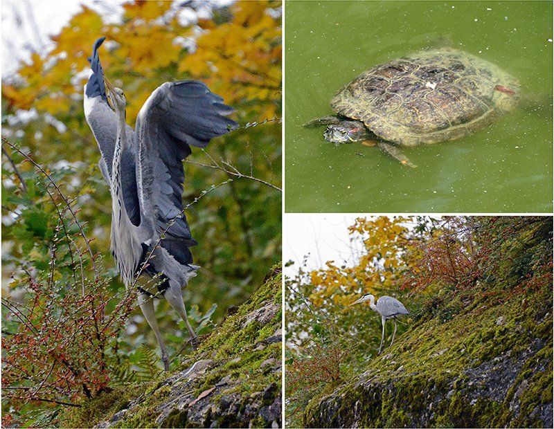 Fotografie Alfons Weber
