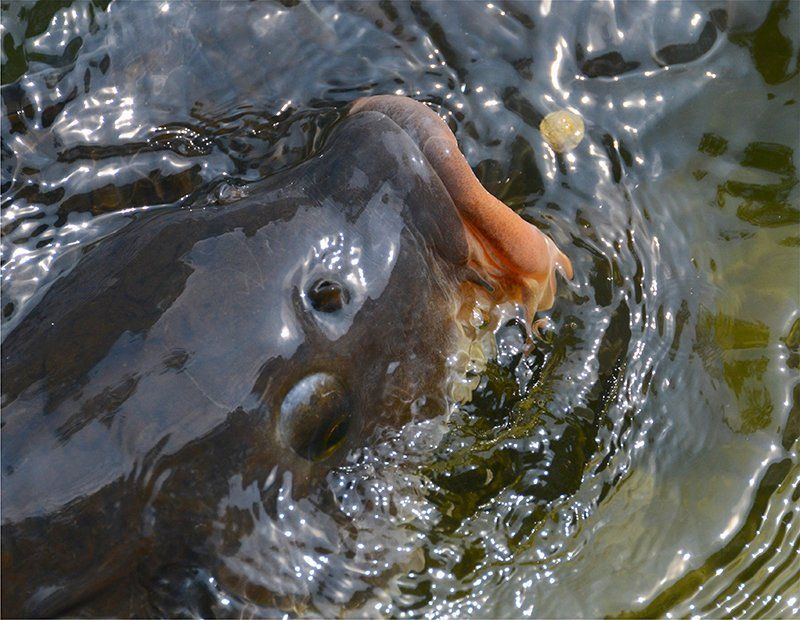 Fotografie Alfons Weber
