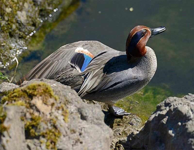 Fotografie Alfons Weber
