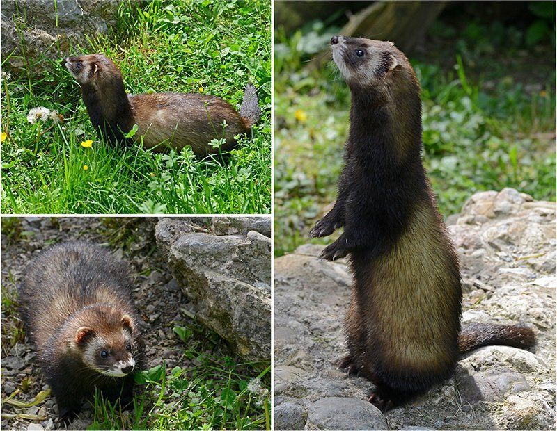 Fotografie Alfons Weber
