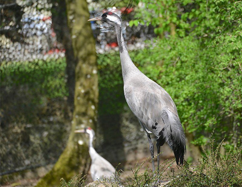 Fotografie Alfons Weber
