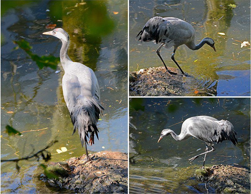 Fotografie Alfons Weber
