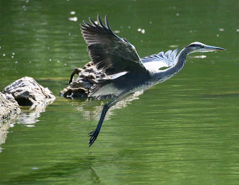 Fotografie Alfons Weber

