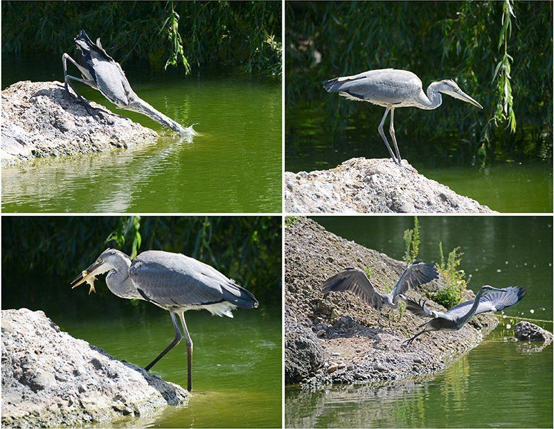 Fotografie Alfons Weber
