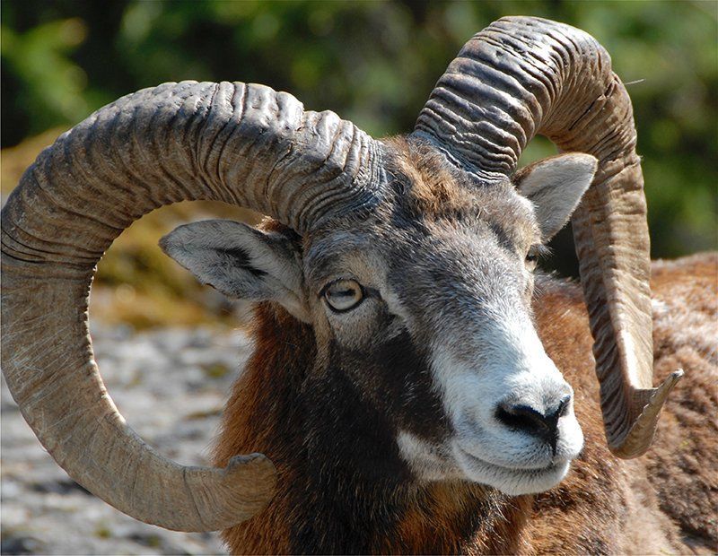 Fotografie Alfons Weber
