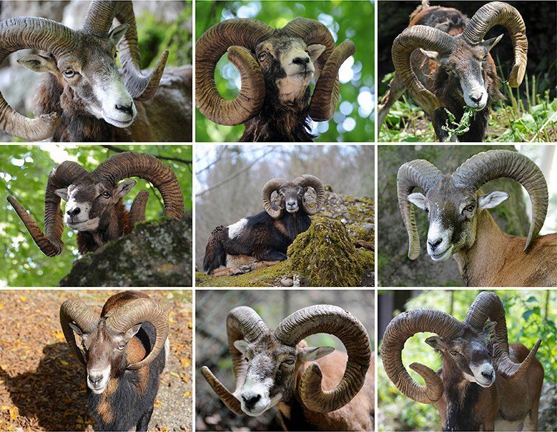 Fotografie Alfons Weber
