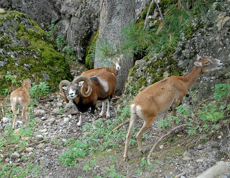 Fotografie Alfons Weber
