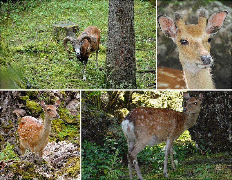 Fotografie Alfons Weber
