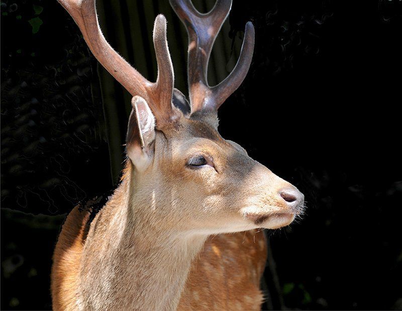 Fotografie Alfons Weber
